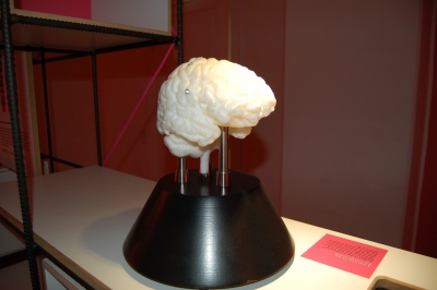 Anatomie eines menschlichen Gehirns mit ausgewählten Nervenfaserbahnen, die mithilfe eines speziellen Aufnahmeverfahrens mit dem Magnetresonanztomographen sichtbar gemacht werden können